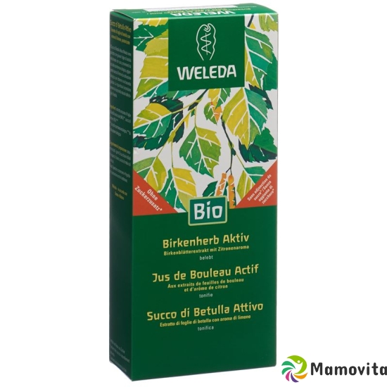 Weleda Birkenherb Aktiv Saft Flasche 250ml buy online