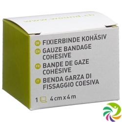 Phytoceuticals Kohäsive Fixierbinde 4cmx4m