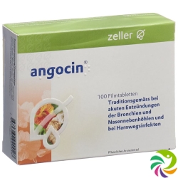 Angocin Filmtabletten 100 Stück