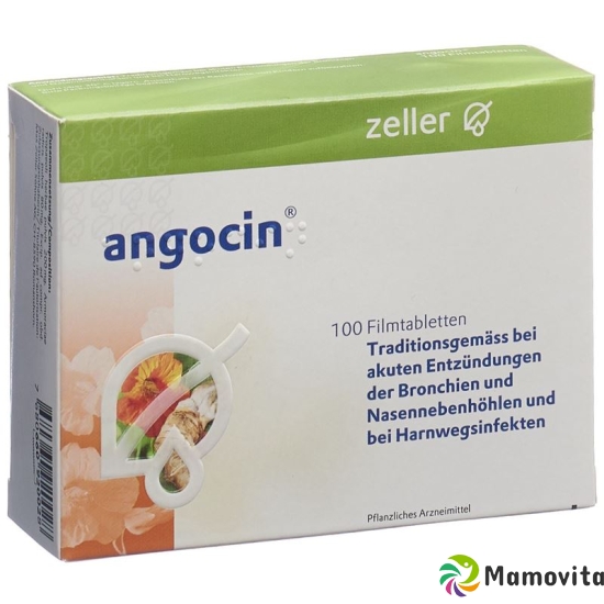 Angocin Filmtabletten 100 Stück buy online