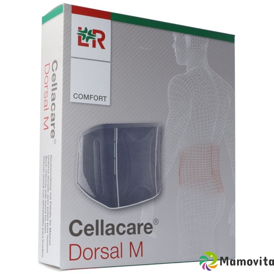 Cellacare Dorsal M Comfort Grösse 2 90-110cm buy online