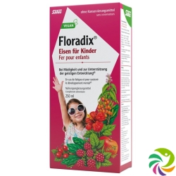 Floradix Iron for children 250ml