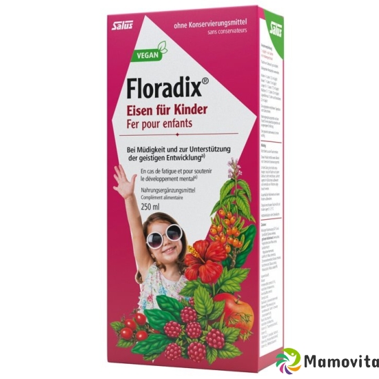 Floradix Iron for children 250ml buy online