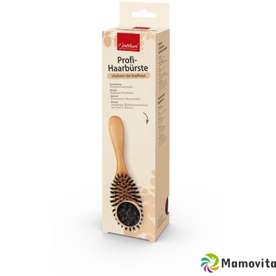 Jentschura professional hairbrush S buy online