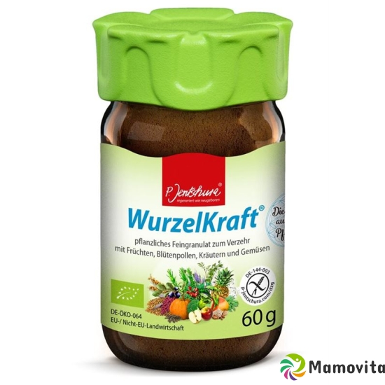 Jentschura Wurzelkraft Feingranulat Bio 60g buy online