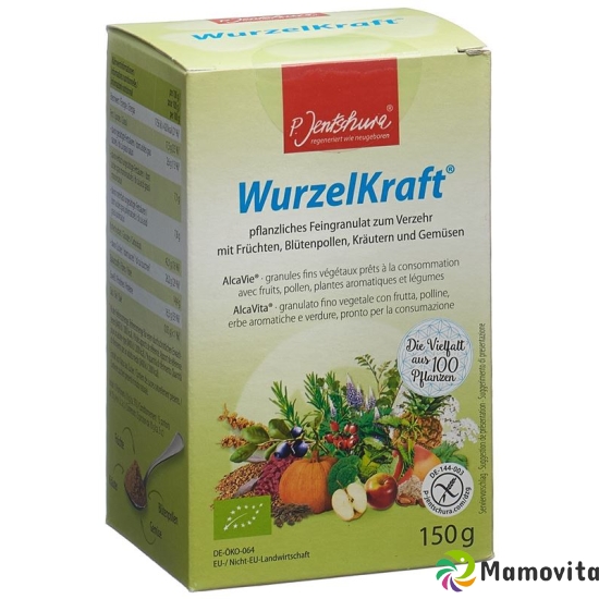 Jentschura Wurzelkraft Feingranulat Bio 150g buy online