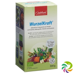 Jentschura Wurzelkraft Feingranulat Bio 300g