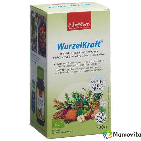 Jentschura Wurzelkraft Feingranulat Bio 300g buy online