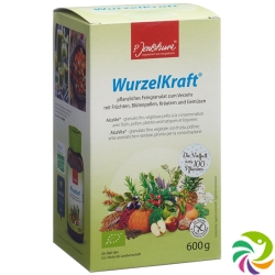 Jentschura Wurzelkraft Feingranulat Bio 600g