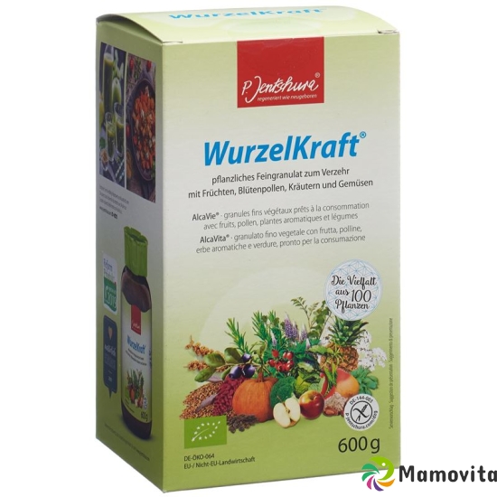 Jentschura Wurzelkraft Feingranulat Bio 600g buy online