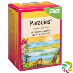 Salus Paradise tea organic with vitamin C bag 15 pieces