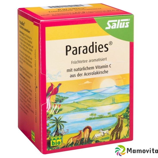 Salus Paradise tea organic with vitamin C bag 15 pieces buy online