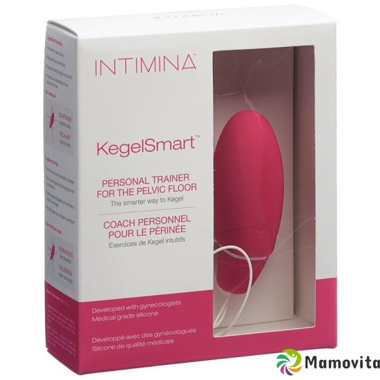 Intimina Kegelsmart buy online