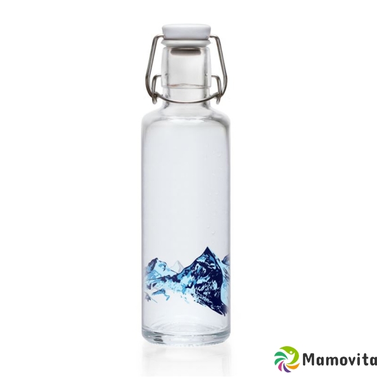 Soulbottle Alpenblick Trinkflasche 0.6L buy online