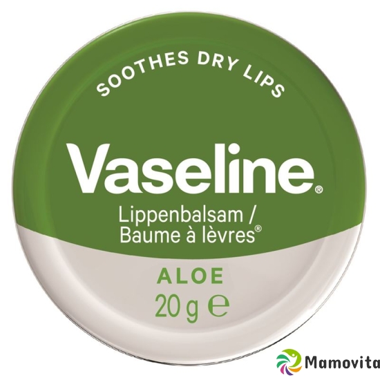 Vaseline Lip Care Tin Aloe Vera 20g buy online