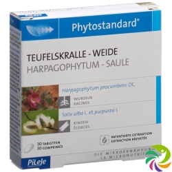 Phytostandard Teufelskralle-Weide Tabletten 30 Stück