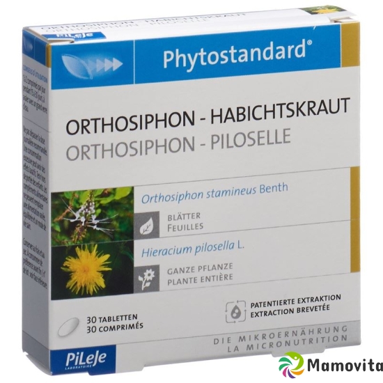 Phytostandard Orthosiphon-Habichtskra Tabletten 30 Stück buy online