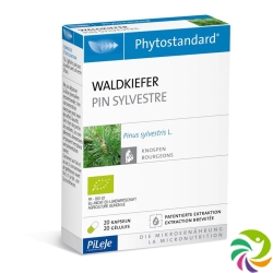 Phytostandard Waldkiefer Kapseln 20 Stück