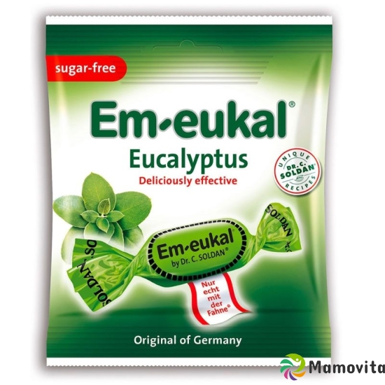 Soldan Em-Eukal Eucalyptus Zuckerfrei Beutel 50g buy online