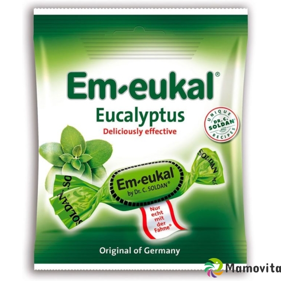 Soldan Em-Eukal Eucalyptus Beutel 50g buy online