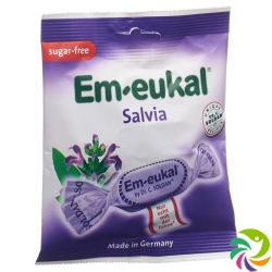 Soldan Em-Eukal Salvia Zuckerfrei Beutel 50g