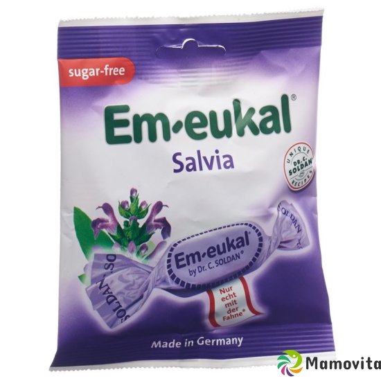 Soldan Em-Eukal Salvia Zuckerfrei Beutel 50g buy online