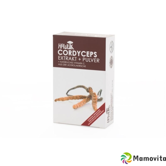 Hawlik Cordyceps Extrakt + Pulver Kapseln 60 Stück buy online