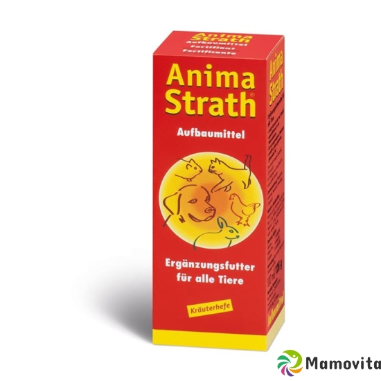 Anima Strath liq bottle 100 ml buy online