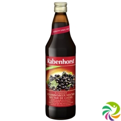 Rabenhorst Schw Johannisbe Nek Bio(neu) 750ml