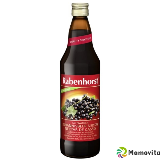 Rabenhorst Schw Johannisbe Nek Bio(neu) 750ml buy online