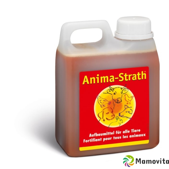 Anima Strath liq Fl 1 lt buy online