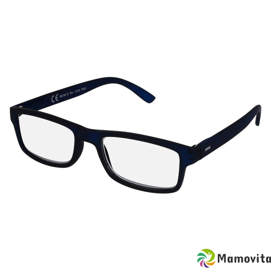 Invu reading glasses 1.50dpt B6730 buy online