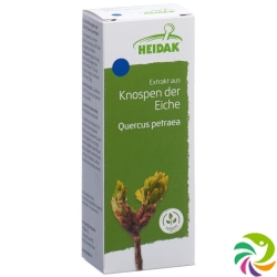 Heidak Knospe Eiche Quercus Petr Glyc Maz Flasche 30ml