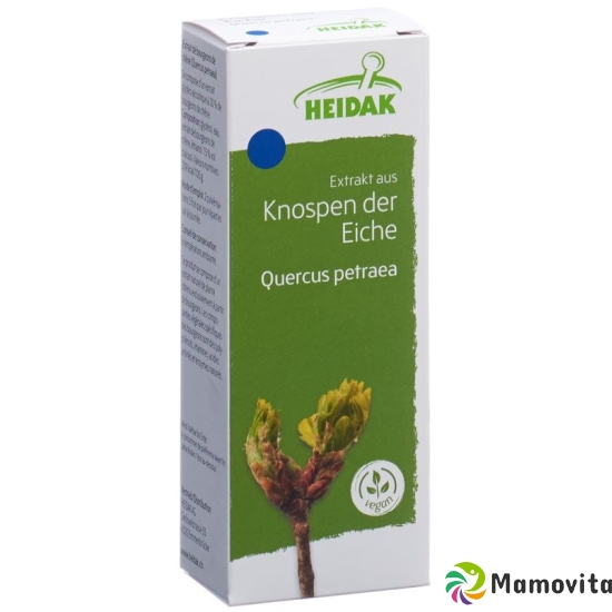 Heidak Knospe Eiche Quercus Petr Glyc Maz Flasche 30ml buy online