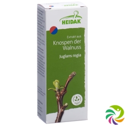 Heidak Knospe Walnuss Juglans Glyc Maz Flasche 30ml