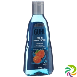 Guhl Men Kraft & Energie Shampoo (neu) Flasche 250ml