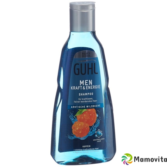 Guhl Men Kraft & Energie Shampoo (neu) Flasche 250ml buy online