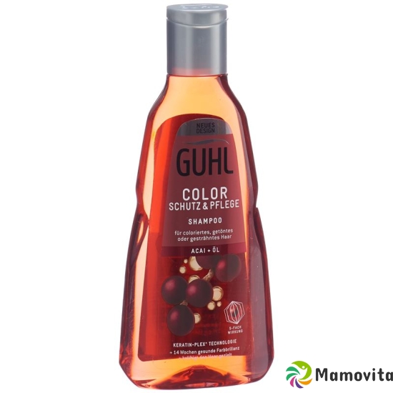 Guhl Color Schutz & Pflege Shampoo Flasche 250ml buy online