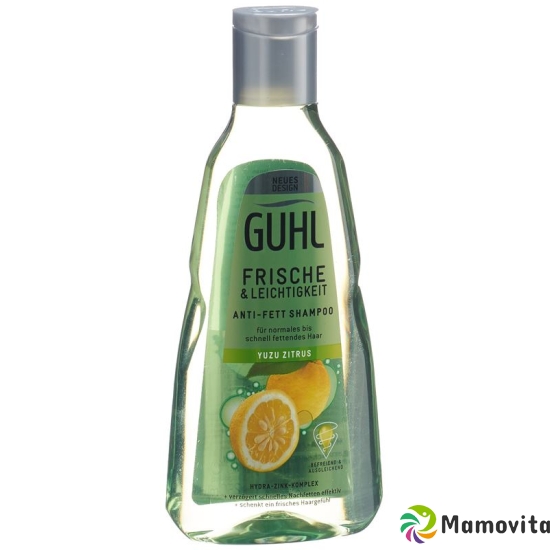 Guhl Frische&leichtig Anti-Fett Shampoo Flasche 250ml buy online