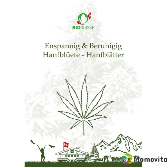 Herba Bio Suisse Hanfblütentee 11 Beutel 1.1g buy online