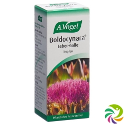 Vogel Boldocynara Leber-Galle Tropfen Flasche 50ml