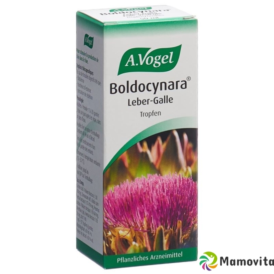 Vogel Boldocynara Leber-Galle Tropfen Flasche 50ml buy online