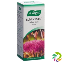 Vogel Boldocynara Leber-Galle Tropfen Flasche 100ml