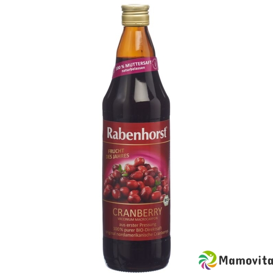 Rabenhorst Cranberry Muttersaft Bio Flasche 750ml buy online