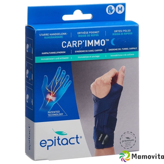 Epitact Carp'immo Starr M Links buy online