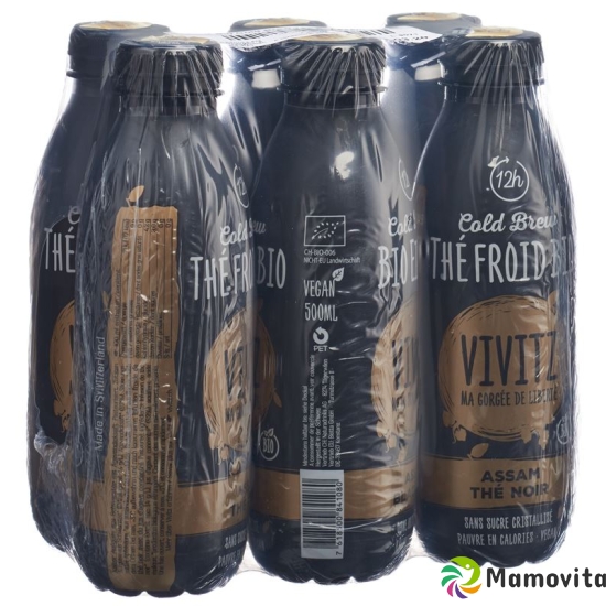 Vivitz Bio Eistee Cold Brew Bla Tea 6 X 0.5L buy online