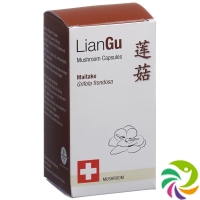 LianGu Maitake Mushrooms Capsules Can 60 Pieces