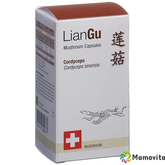 LianGu Cordyceps Mushrooms Capsules Can 60 Pieces buy online