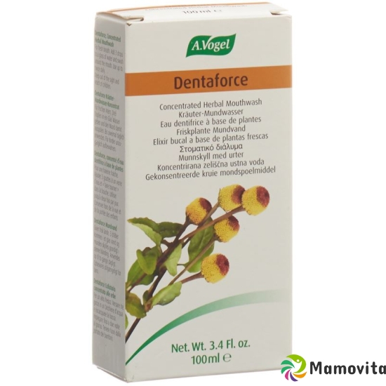 A. Vogel Dentaforce Kräuter-Mundwasser 100ml buy online