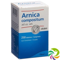 Arnica Comp Heel Tabletten Ad Us Vet. Dose 250 Stück